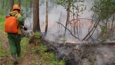 Площадь лесных пожаров в Иркутской области превысила 3 тыс. га
