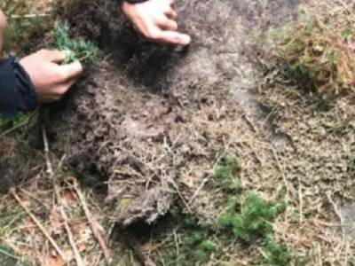 Археологи обнаружили камни с трезубцами в Ивано-Франковской области