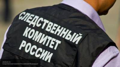 СК расследует дело о мошенничестве в отношении депутата Мосгордумы от КПРФ