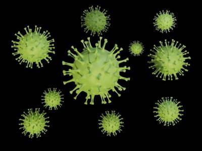 В мире количество заболевших коронавирусом превысило 22 миллиона человек: Украина обогнала Китай