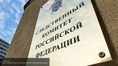 СК опроверг информацию о проверке инцидента с Навальным в самолете