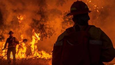 Лесные пожары в Калифорнии: тысячи людей эвакуированы, десятки зданий уничтожены