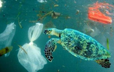 Пугающие цифры: ученые обнаружили 200 миллионов тонн пластика в Атлантическом океане