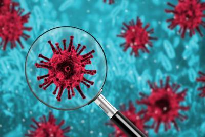 В Чувашии еще 36 человек заболели коронавирусом, 73 выздоровели