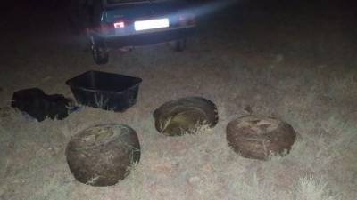 В Крыму двое браконьеров выловили креветки на 6,5 млн рублей