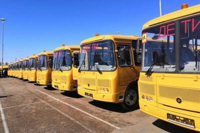 На закупку школьных автобусов кабмин выделил 5 млрд рублей