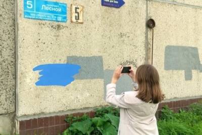 В столице Карелии волонтеры ищут рекламу наркотиков на зданиях