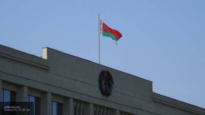 В Госдуме заявили о вмешательстве Литвы и других стран в дела Беларуси