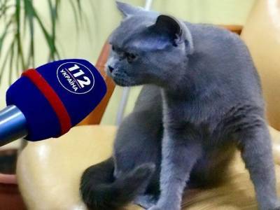 Нацсовет по телерадиовещанию назначил внеплановую проверку телеканала “112 Украина” за эфир с Симоненко