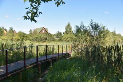 В Рязанском селе местные жители сами построили мост через пруд
