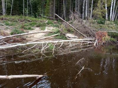 В Корткеросе уже второй месяц ведутся поиски пропавшего на воде ребенка