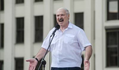 Сотрудники и выпускники МГУ потребовали лишить Лукашенко звания почетного профессора