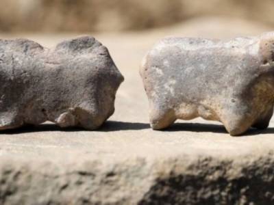 Для ритуалов или детские игрушки: В Польше археологи нашли загадочные камушки, которым около 3500 лет