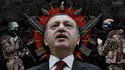 Эрдоган делает ставку на ЧВК SADAT при оккупации арабского региона