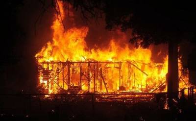Лесные пожары в Калифорнии: в штате объявили ЧП (ФОТО)
