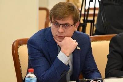 Депутат донского парламента Борис Вальтер раскритиковал идею трехдневного голосования
