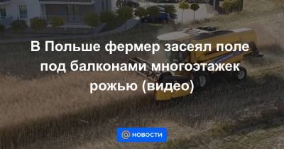 В Польше фермер засеял поле под балконами многоэтажек рожью (видео) - news.mail.ru - Китай - Польша - Люблин