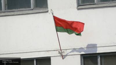 Маркелов назвал протесты в Белоруссии прозападной историей