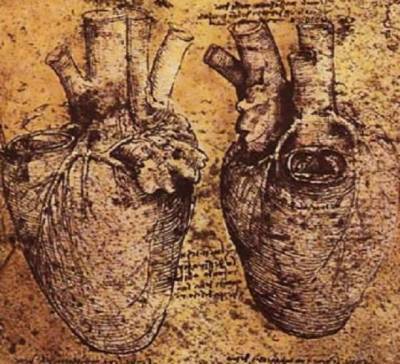 Учёные поняли смысл рисунка Леонардо да Винчи спустя 500 лет