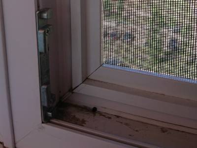 Пыталась поймать москитную сетку: В Запорожье женщина погибла, выпав из окна