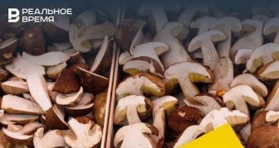 Минздрав Татарстана опроверг фейк о смертельном отравлении ребенка белыми грибами