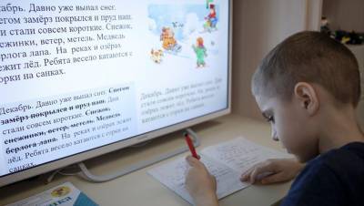 Петербургские школы могут вернуться к дистанционному обучению
