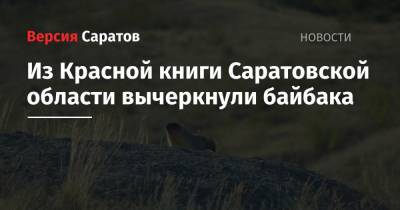 Из Красной книги Саратовской области вычеркнули байбака