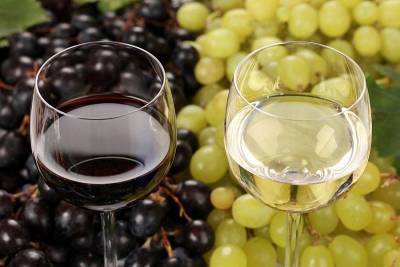 Винзаводы Краснодарского края приняли первый виноград урожая 2020 года