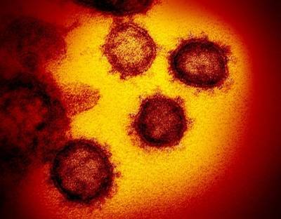 Названы побочные эффекты вакцины против коронавируса