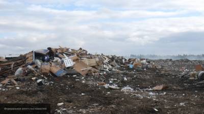 Представитель Росприроднадзора увидела масштабы "мусорной трагедии" Коми