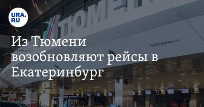 Из Тюмени возобновляют рейсы в Екатеринбург. Но в «Рощино» об этом пока не знают