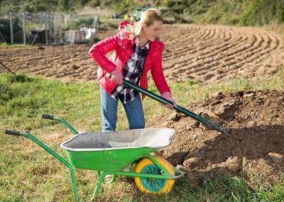 6 экологически безопасных способов повысить плодородие почвы