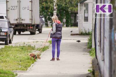 В Сыктывкаре на владельцев собак, не убирающих за своими питомцами, можно заявить в полицию