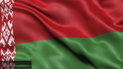 В Госдуме указали на беспрецедентность действий Литвы против Белоруссии