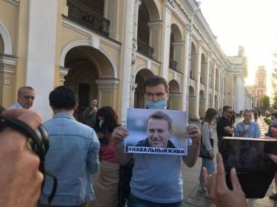 Петербуржцы вышли на одиночные пикеты в поддержку Навального (фото, видео)