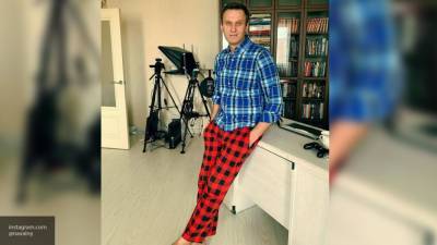 Понятой: личные вещи Навального не содержат следов опасных веществ