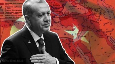 Турция хочет вернуть былую сферу влияния, устраивая перевороты в Африке
