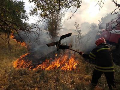 В Киевской и Луганской областях – снова пожары