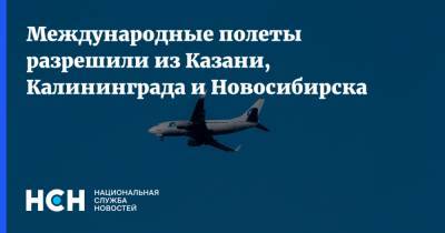 Международные полеты разрешили из Казани, Калининграда и Новосибирска