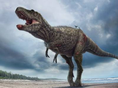 Ученые выяснили, почему динозавры были такими огромными
