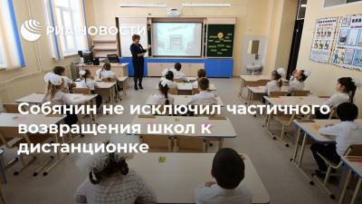 Собянин не исключил частичного возвращения школ к дистанционке