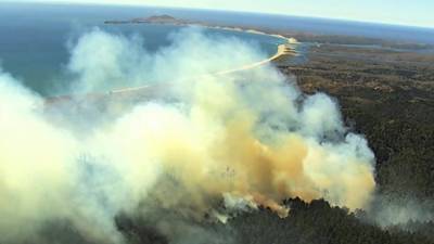 На севере Калифорнии полыхают лесные пожары: тысячи жителей эвакуированы, есть жертвы