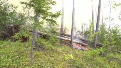 В Иркутской области и Красноярском крае потушено 77 лесных пожаров, режим ЧС пока не снят