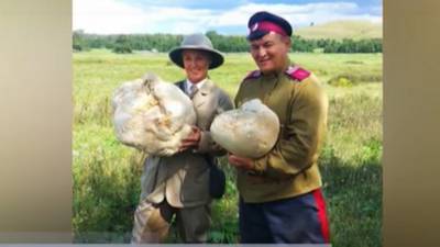 В Башкирии нашли огромный гриб, которым накормили 20 человек