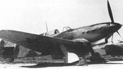Советский самолет, сбитый во времена ВОВ, обнаружили под Курском — видео