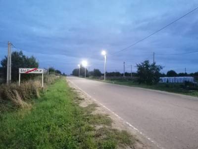 ОНФ добился обустройства уличного освещения в деревне Смоленского района