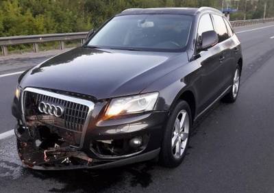 В Рязанском районе Audi Q5 насмерть сбила пешехода