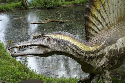 В Китае обнаружили останки ихтиозавра, подавившегося талаттозавром