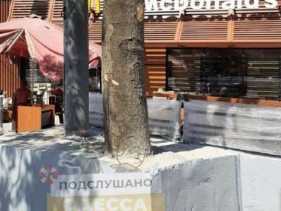 В Одессе строители опозорились с ремонтом: залили дерево бетоном