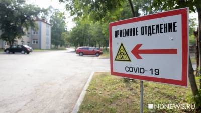 Свердловская область опустилась на седьмое место по числу новых случаев коронавируса